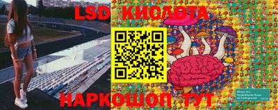 apvp Моздок