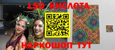 крисы Можга
