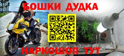 apvp Моздок