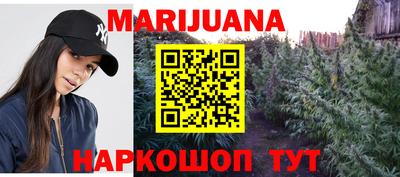 крисы Можга