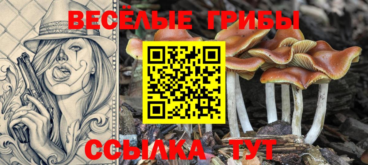 Галлюциногенные грибы MAGIC MUSHROOMS  Вход с VPN  Строитель 